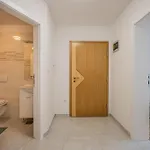 Apartment Children Dream Medulin